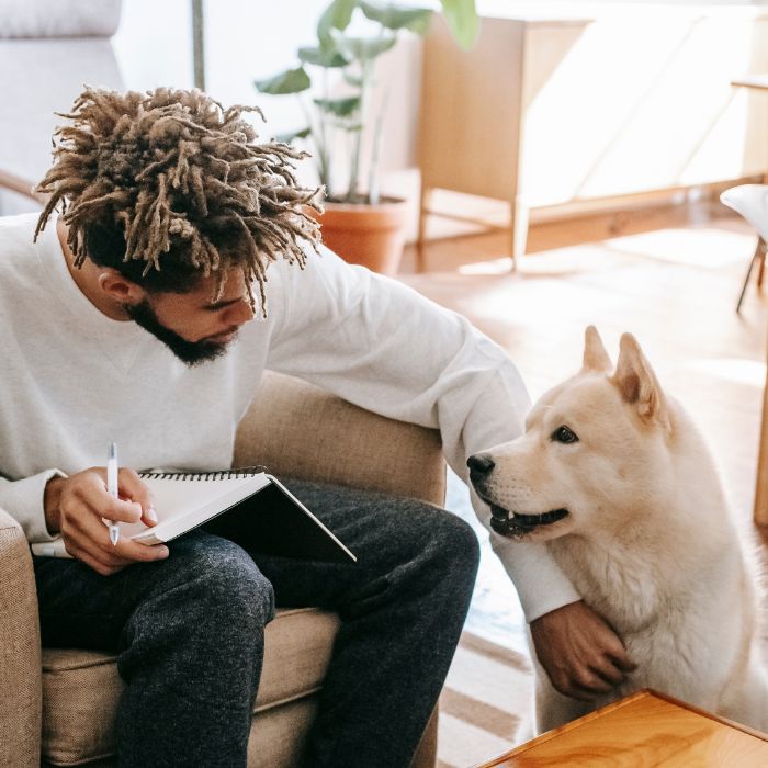 étude de comportement chien