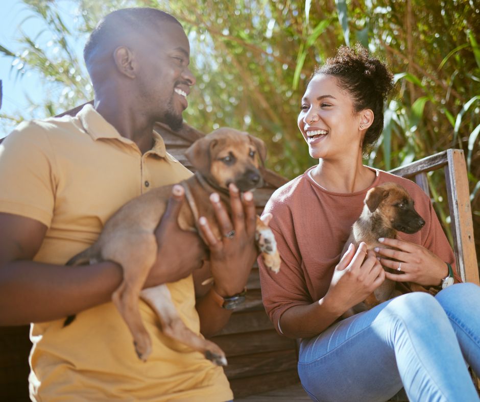 chiot bien éduqué