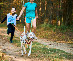 chien-courir