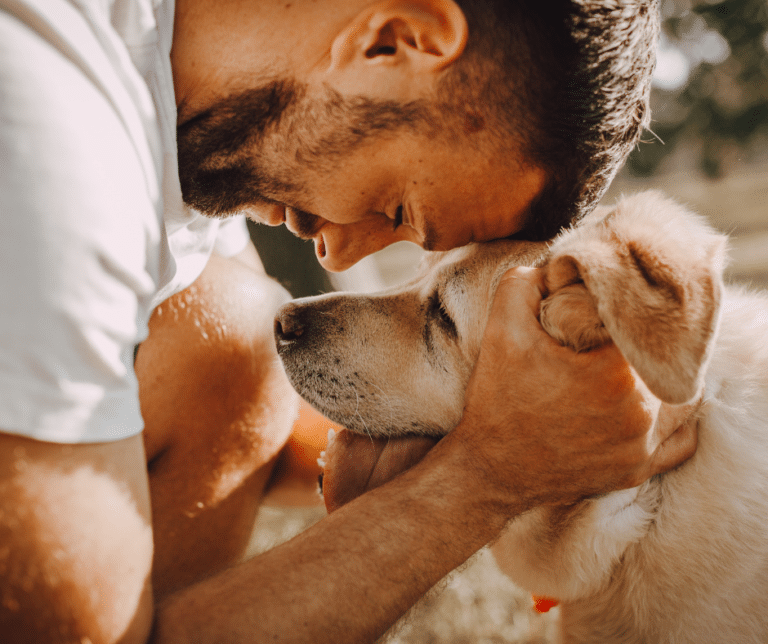 relation de confiance entre l’homme et le chien