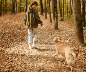 chien qui suit partout