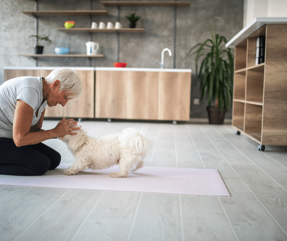 Éducateur canin travaillant l'attention d'un chien en promenade pour améliorer son écoute dehors